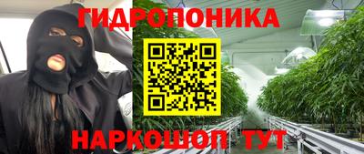 молекула духа Жуковский